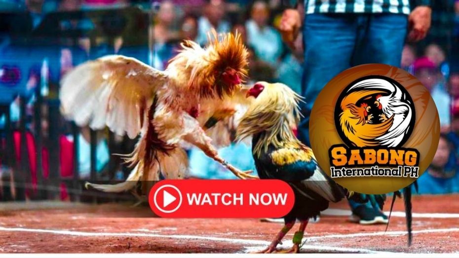 yy 777 what happens if you bet moneyline and it’s a tie